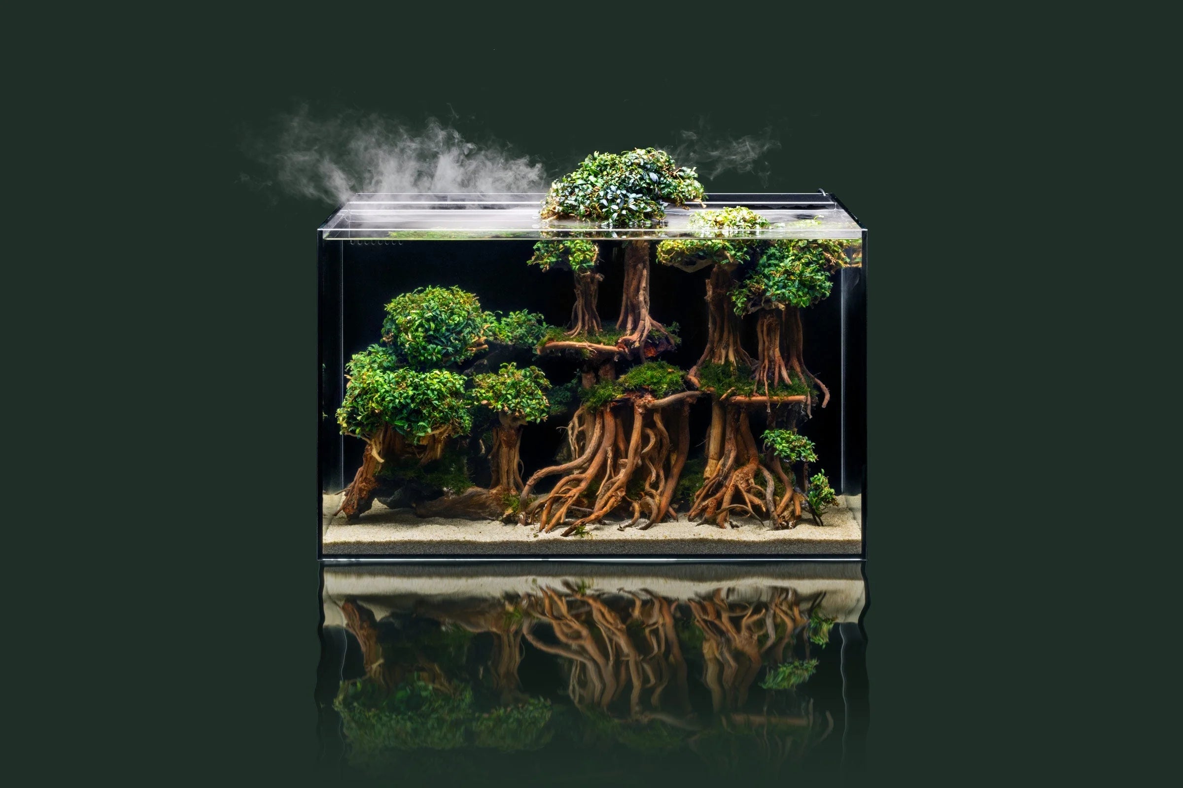 UNS 60A - 20 Gallon Dual AIO Rimless Aquarium