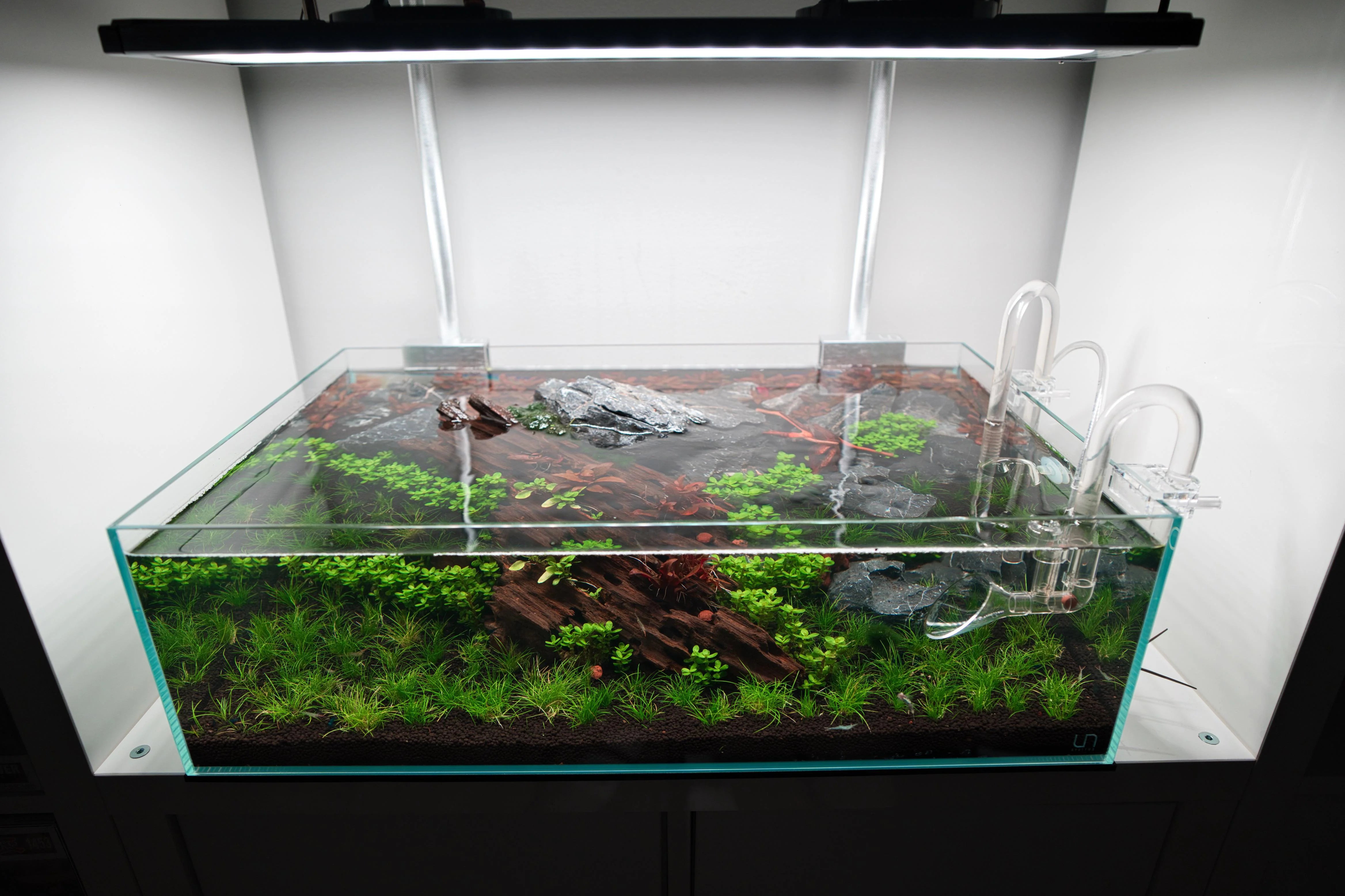 UNS 60S - 10.2 Gallon Ultra Clear Rimless Aquarium