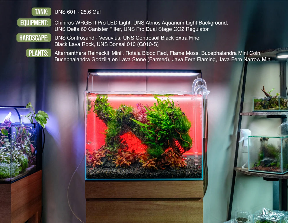 UNS Controsand 3L - Vesuvius - Betta USA Aquatic