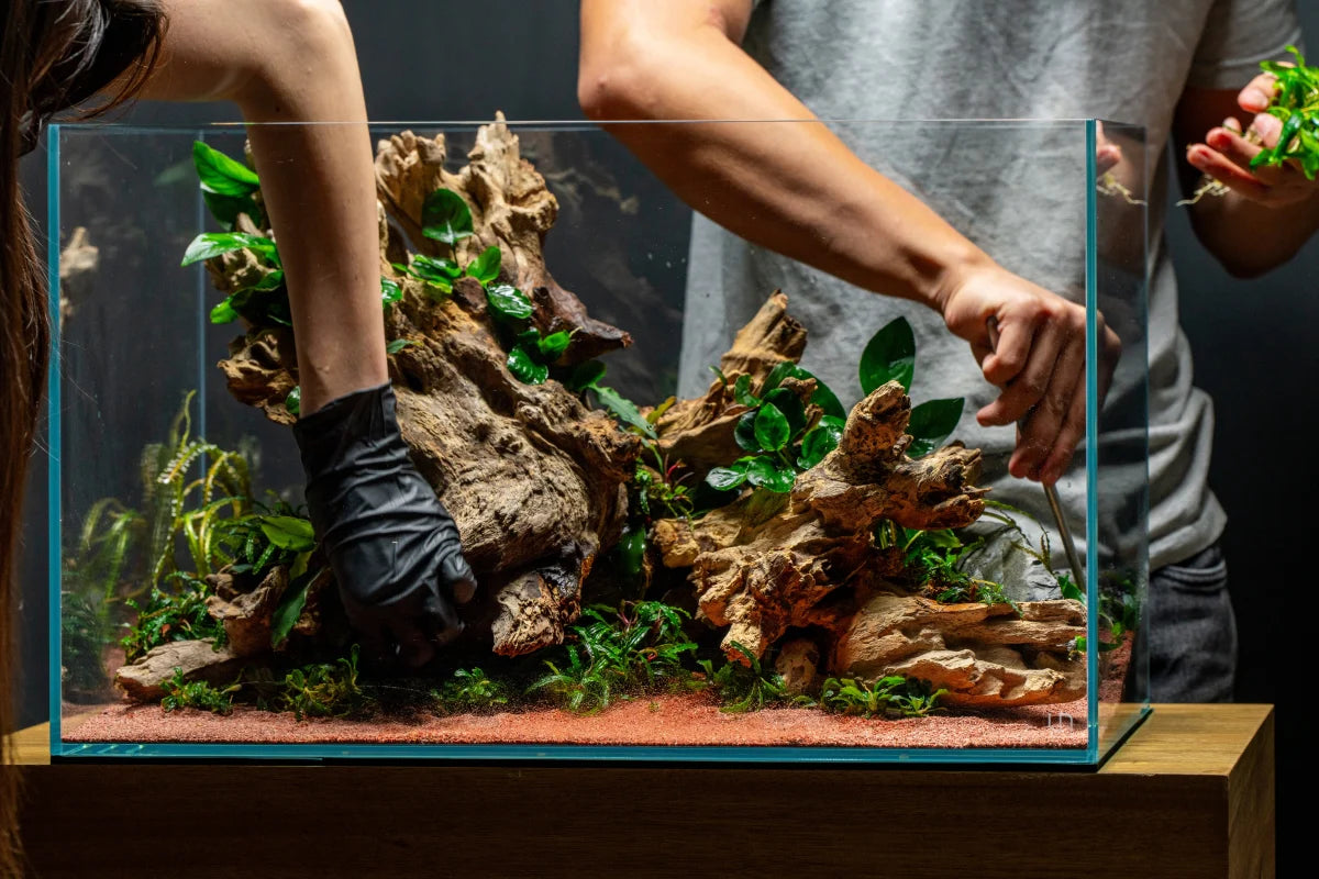 UNS 60U - 20.5 Gallon Ultra Clear Rimless Aquarium