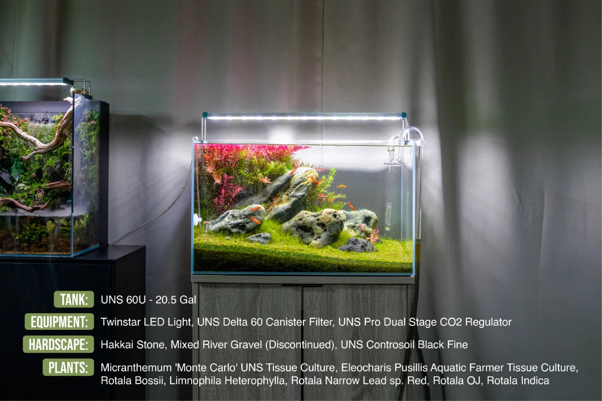 UNS 60U - 20.5 Gallon Ultra Clear Rimless Aquarium