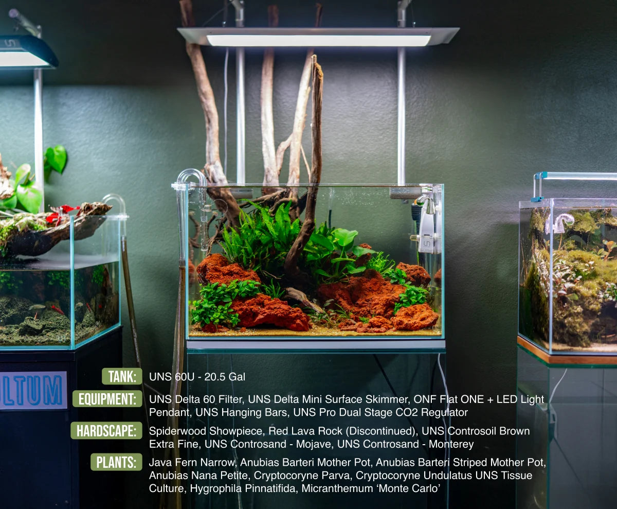 UNS 60U - 20.5 Gallon Ultra Clear Rimless Aquarium