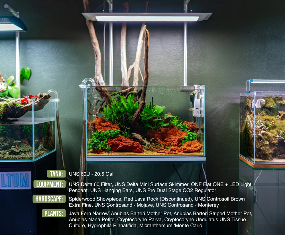 UNS 60U - 20.5 Gallon Ultra Clear Rimless Aquarium - Betta USA Aquatic