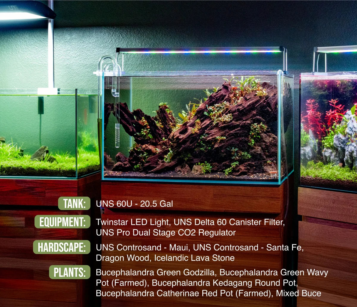 UNS 60U - 20.5 Gallon Ultra Clear Rimless Aquarium