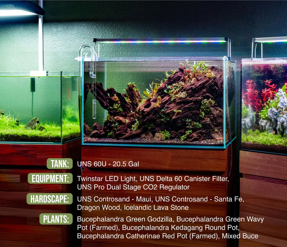UNS 60U - 20.5 Gallon Ultra Clear Rimless Aquarium - Betta USA Aquatic