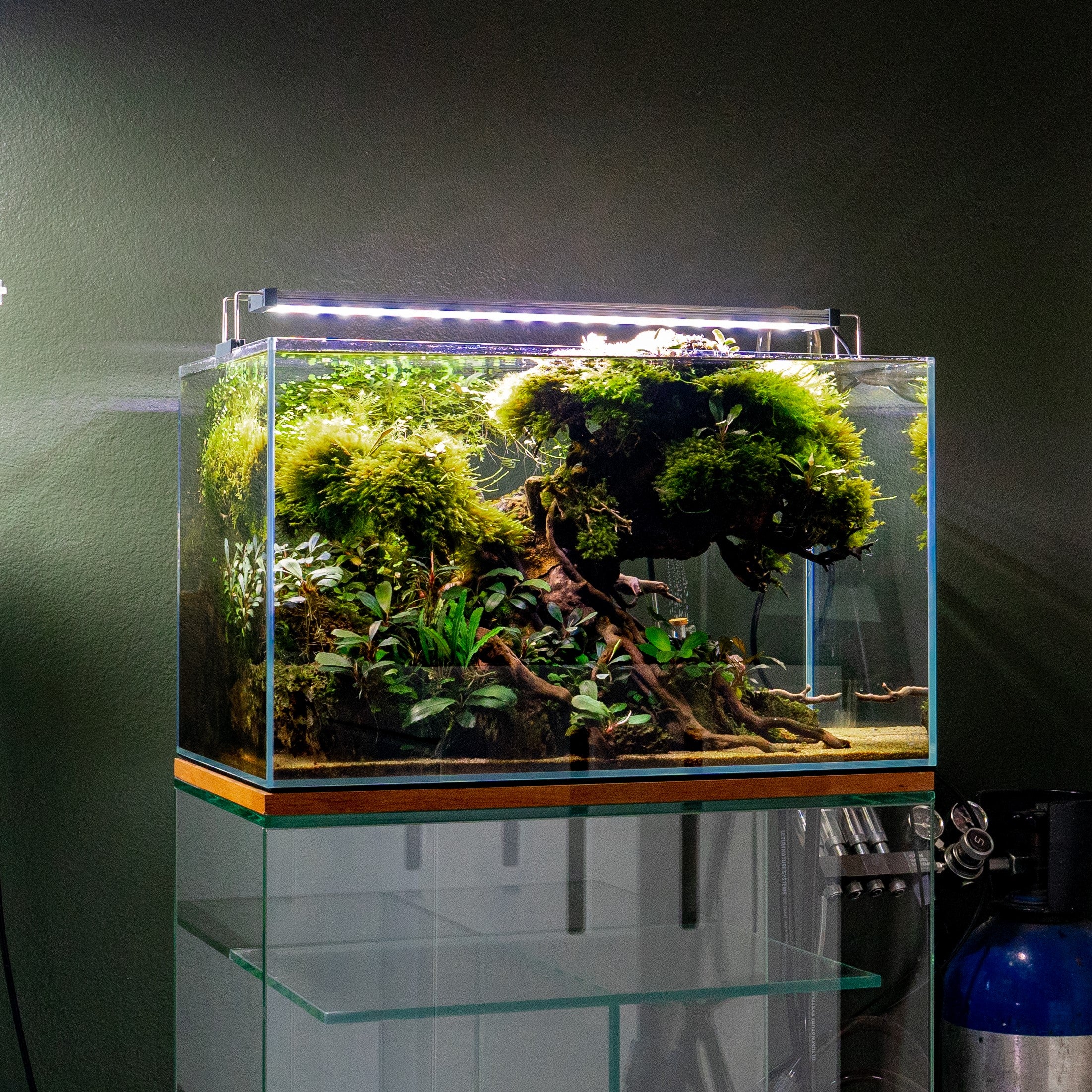 UNS 60U - 20.5 Gallon Ultra Clear Rimless Aquarium