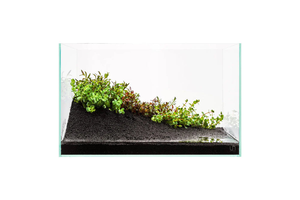 UNS Controbase 2L - Betta USA Aquatic