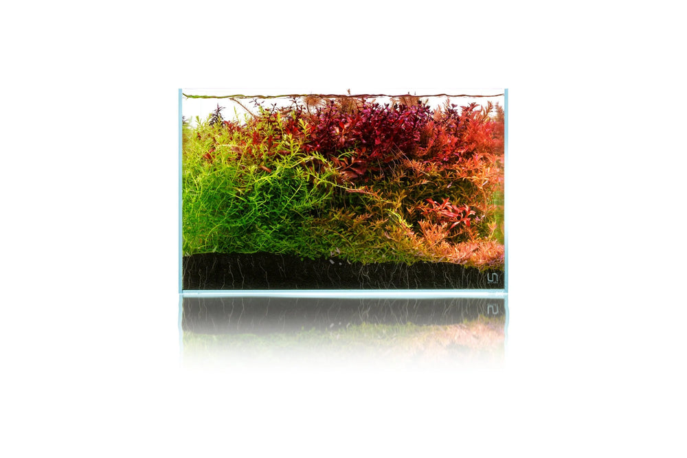 UNS Controbase 2L - Betta USA Aquatic