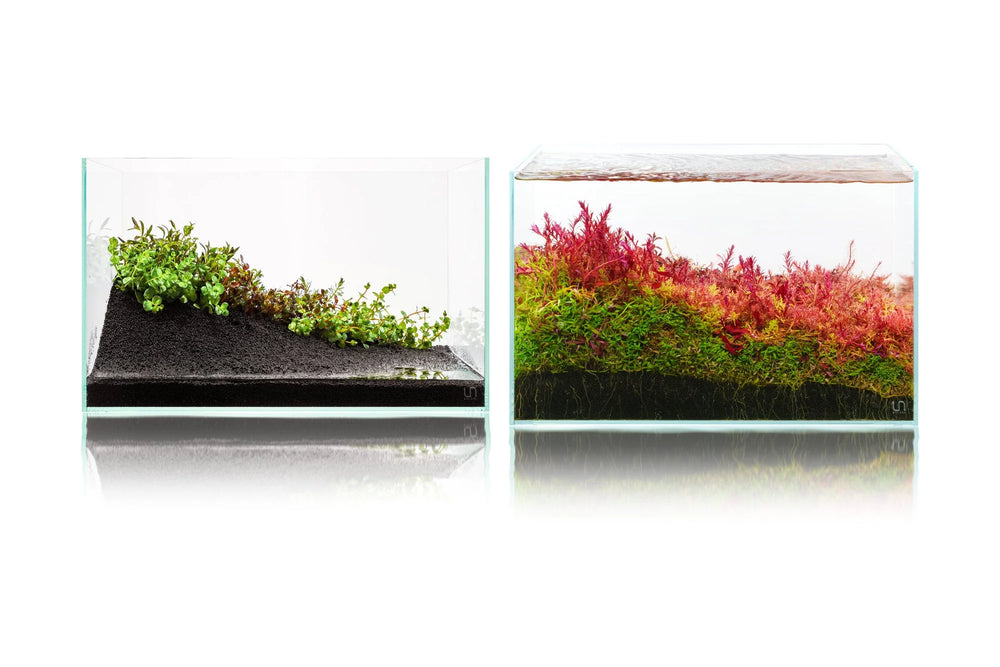 UNS Controbase 2L - Betta USA Aquatic