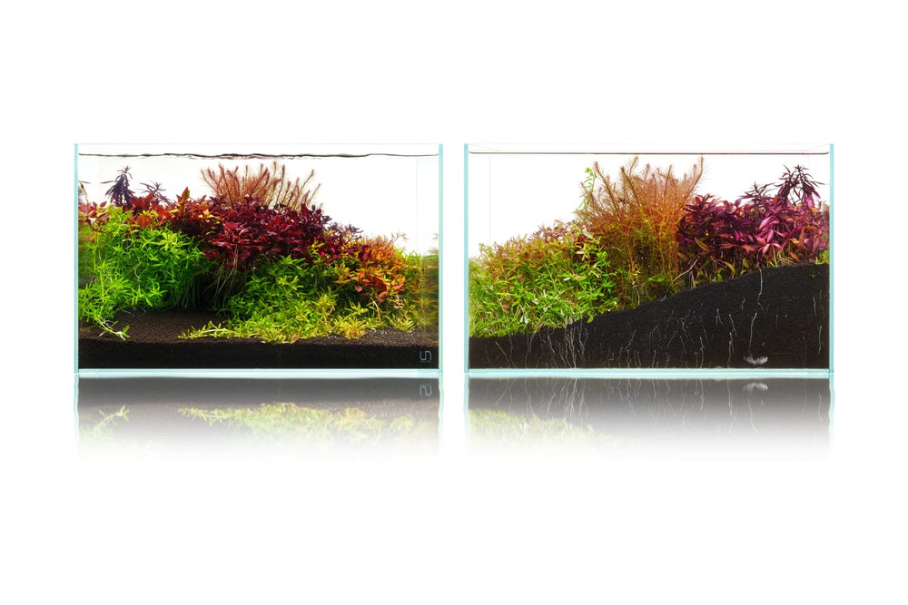 UNS Controbase 2L - Betta USA Aquatic