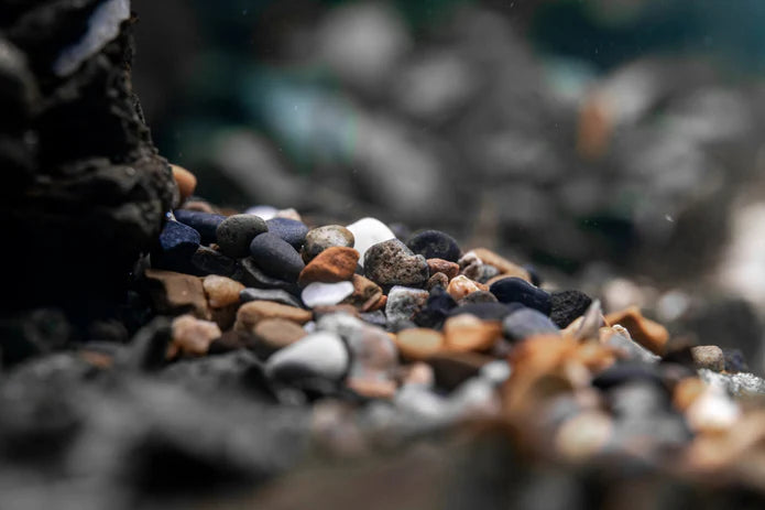 UNS Controsand 3L - Santa Fe - Gravel - Betta USA Aquatic