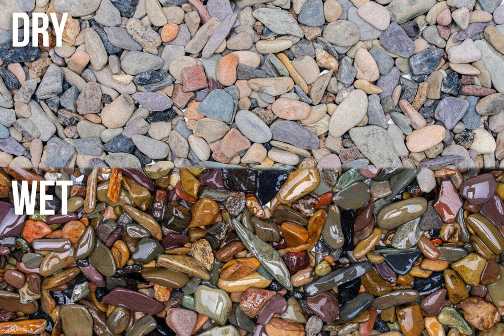 UNS Controsand 3L - Sequoia - Betta USA Aquatic