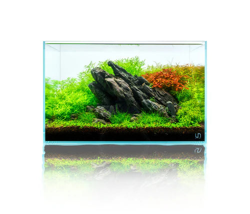 UNS Strata Seiryu Stone Type 1
