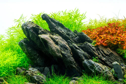 UNS Strata Seiryu Stone Type 1