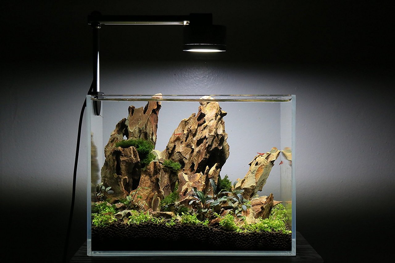 UNS 40C - 16.9 Gallon Ultra Clear Rimless Aquarium