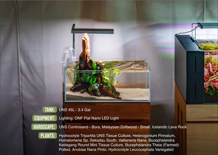 ONF Flat Nano LED Light - Silver - Betta USA Aquatic
